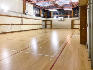 Read more about the article Choosing the Best Volleyball Wood Flooring for Your Facility