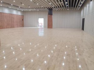 Read more about the article What Makes a Good Handball Court Floor? A Guide for Sports Facilities