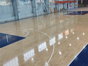 Read more about the article Top 5 Benefits of Installing Hardwood Sports Flooring in Your Facility Introduction
