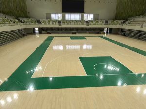 Read more about the article Basketball Wood Floor: The Gold Standard for Performance and Safety