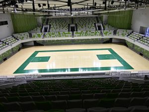 Read more about the article The Ultimate Guide to Basketball Wood Floor: Performance, Material, and Maintenance