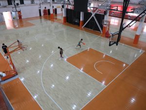 Read more about the article Basketball Floorboard: The Essential Layer Beneath Every Great Game