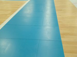 Read more about the article Why Choose Professional Basketball Wooden Flooring for Your Court?