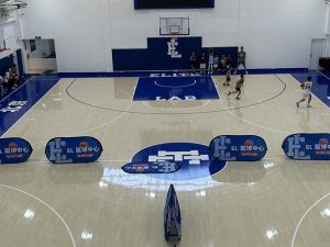 Read more about the article Hardwood Basketball Court: The Gold Standard for Performance and Durability
